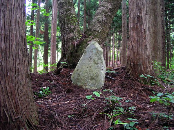天.地.人　長谷堂の合戦
