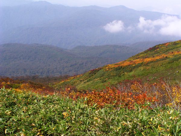 リフトに乗って　6