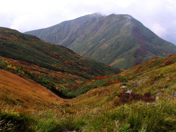 見えてきました