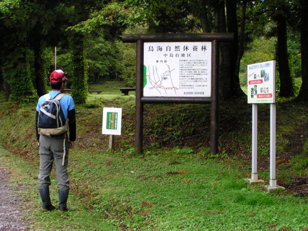 ブナのあがり子日本一