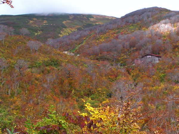 10/15月山山麓