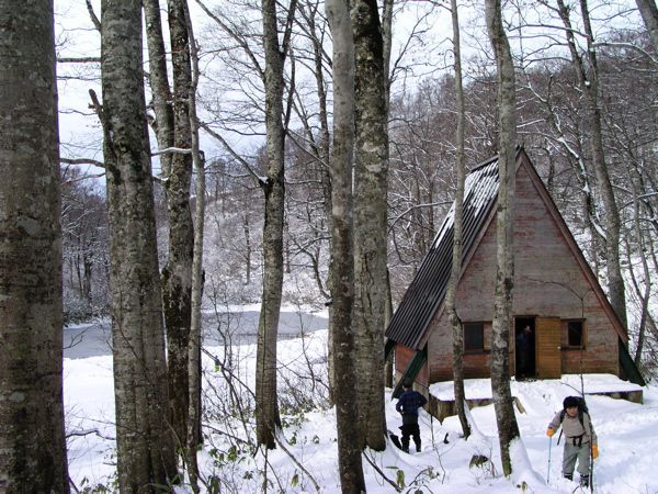 探鳥小屋