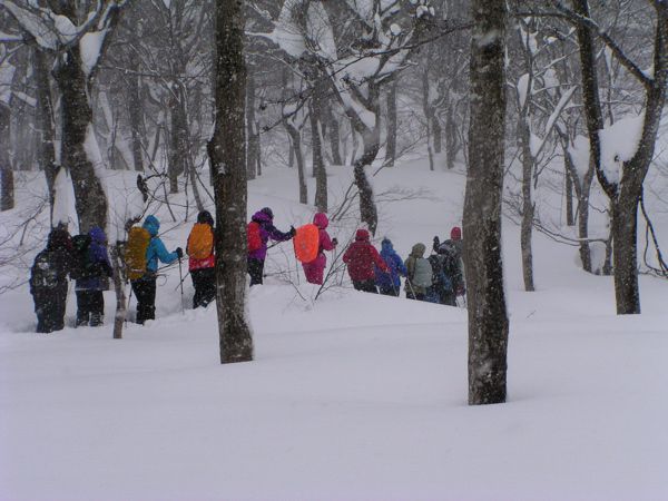 エコプロのイベント