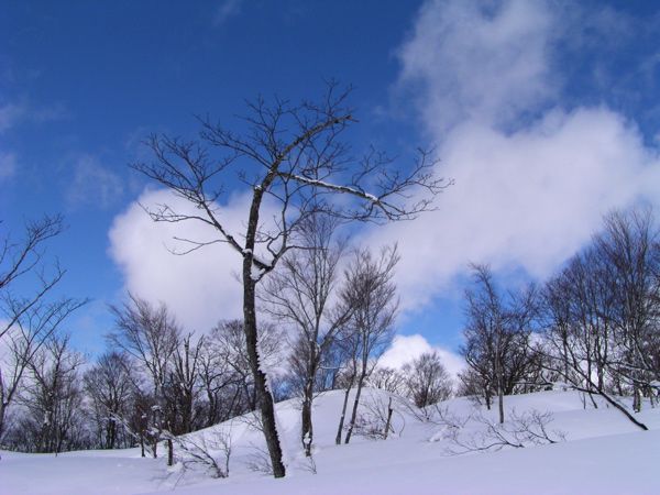 浮き雲