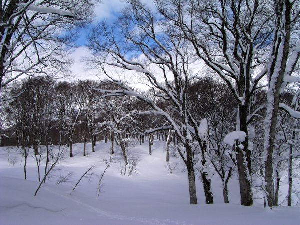 ぴりっとする空気