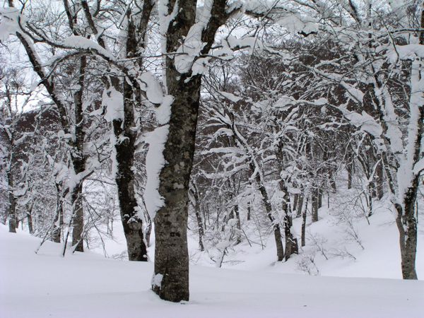 平坦でない台地