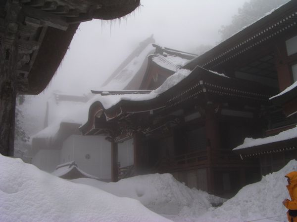 冬の本宮