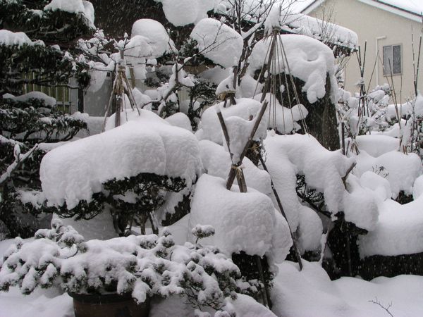 雪の季節