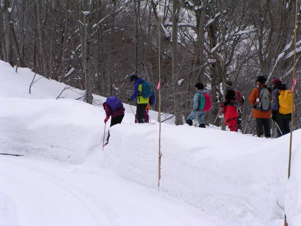 新雪を踏んで