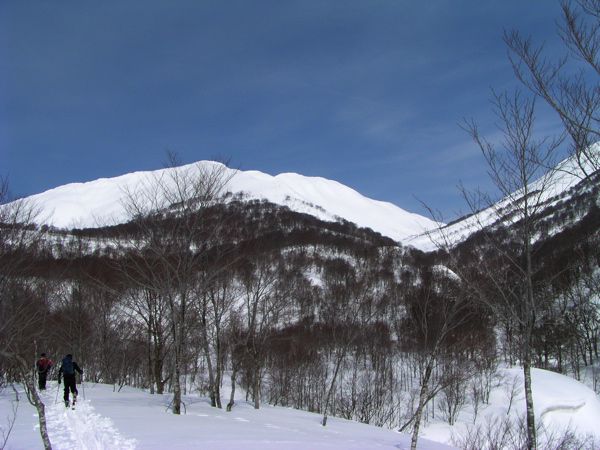 リュウキンカ広場は