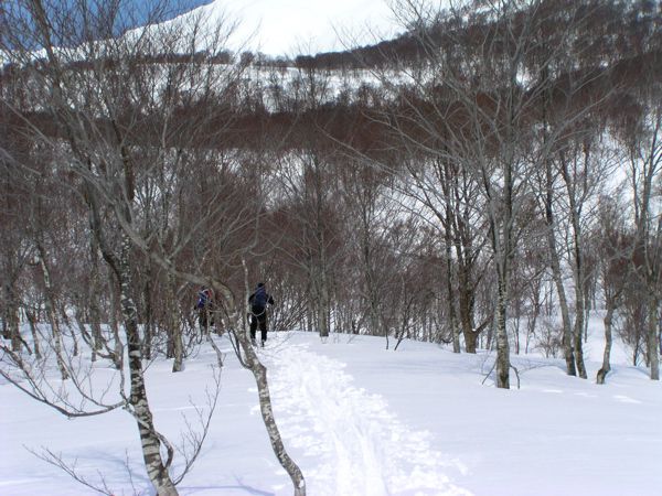 カワクルミ沼上前
