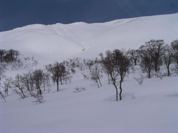 雪崩はここから