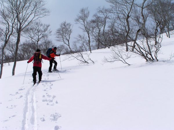 西の平に間もなく