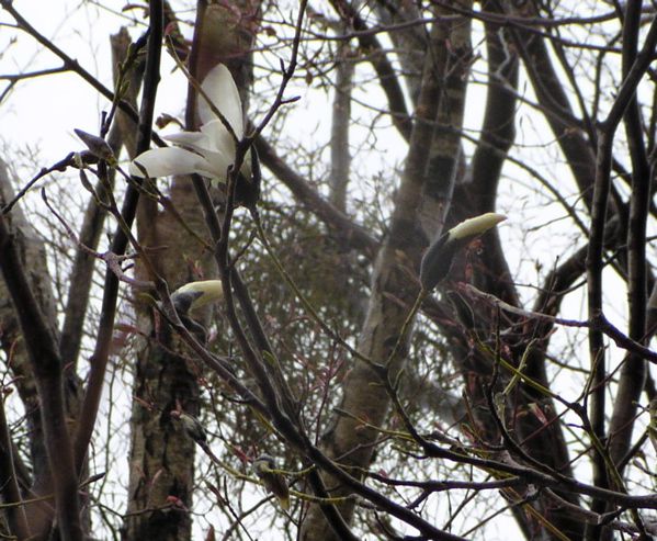季節風に揺れて