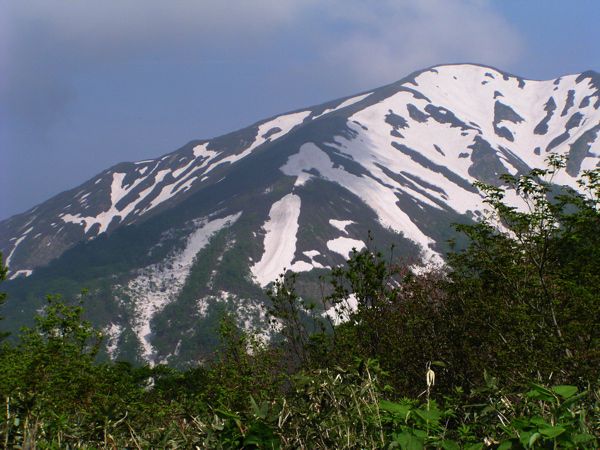 姥ヶ岳駐車場より
