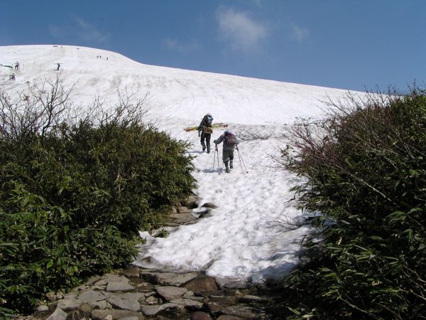 ここからゲレンデ