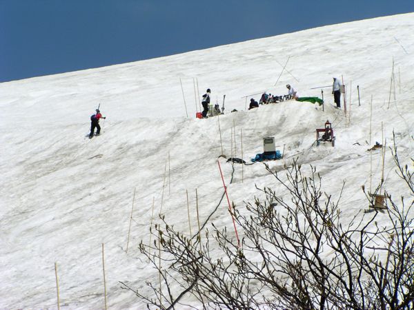 ティバー数カ所に