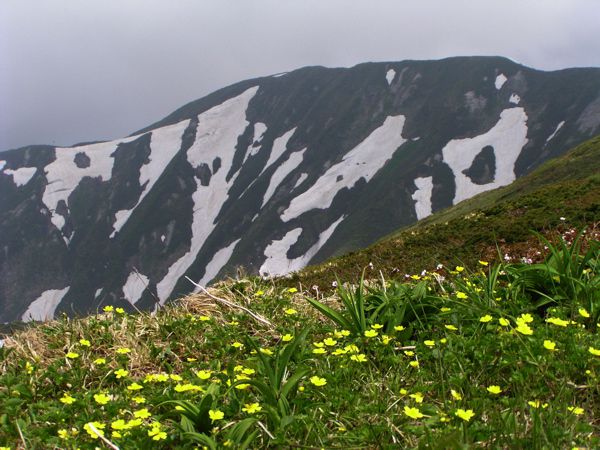 姥ヶ岳山頂より　～紫灯森