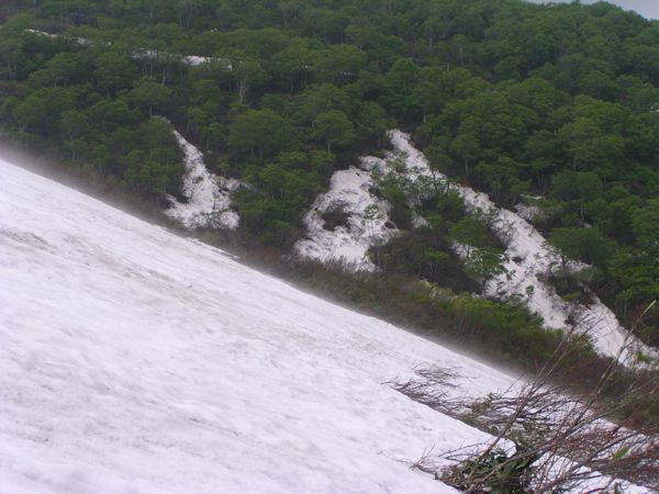 姥ヶ岳山頂より急斜面を下る