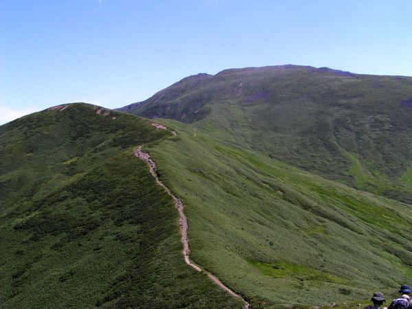 金姥から紫灯森