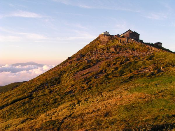 黄金に包まれて