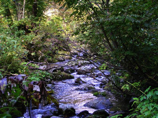石跳川沿いを装束場へ
