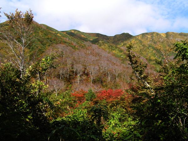 湯殿山の山並み　1