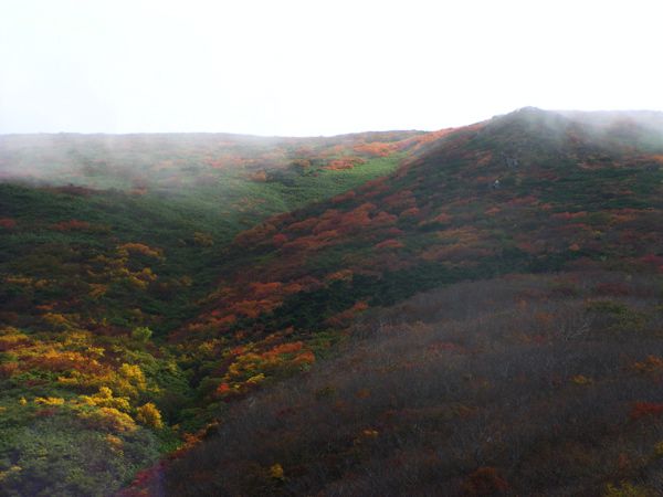 コメツガの谷　3