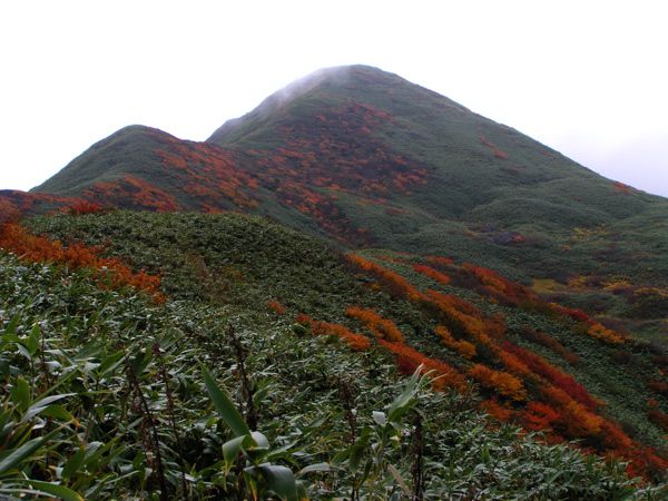 湯殿の北西斜面