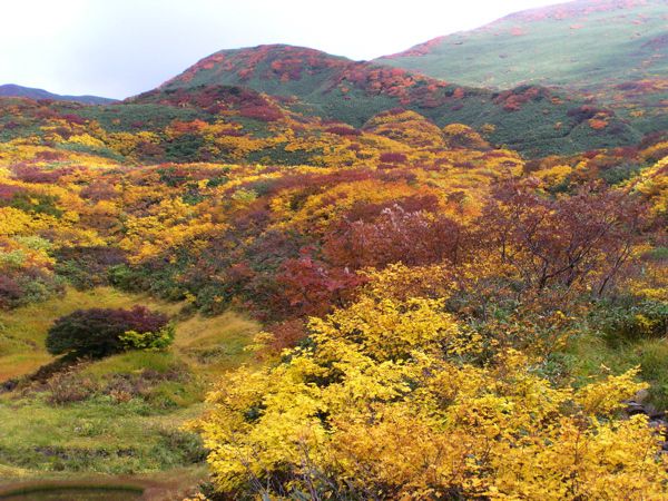 湯殿山　　　14