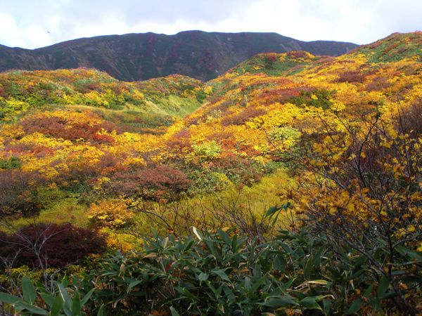 装束場　　　15