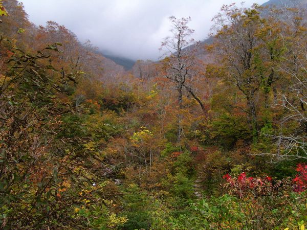 春木戸辺りの風景