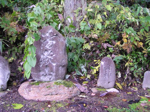 里山の秋