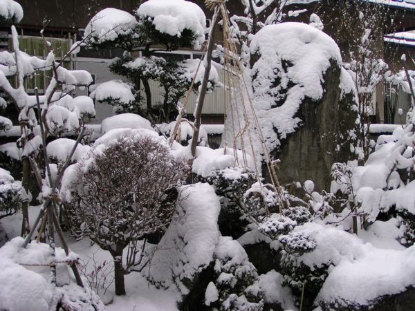 市内雪初