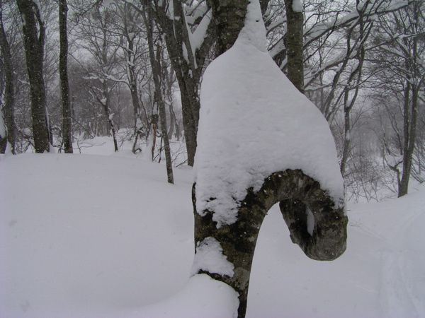 時にはオブジェに