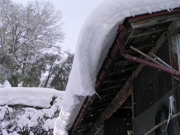 屋根の雪