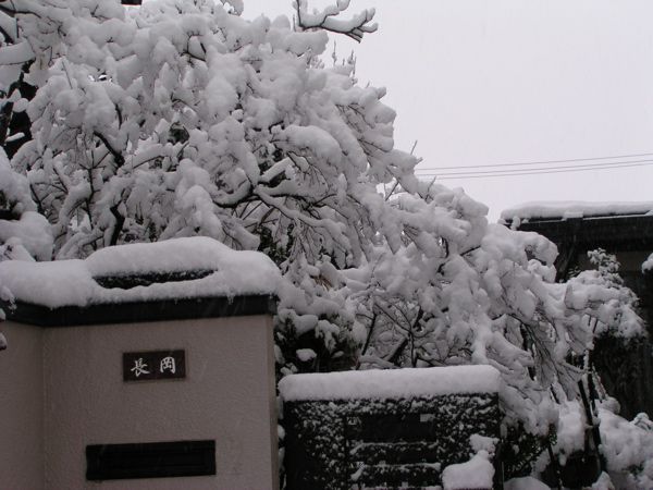 今日の山形