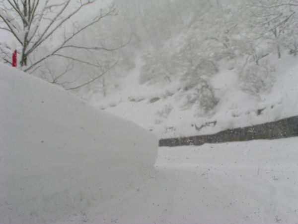 吹雪の月山山麓