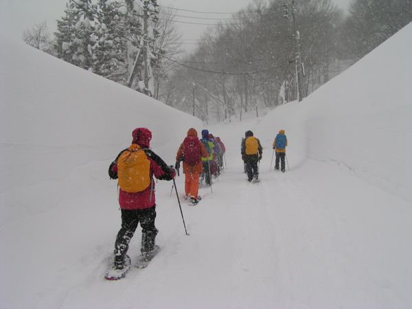 吹雪なのに