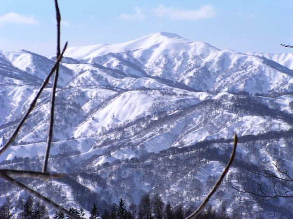 対岸の山目の目に