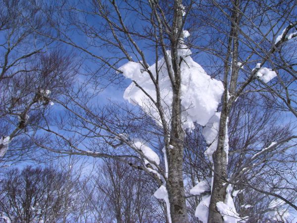 風のいたずら　1