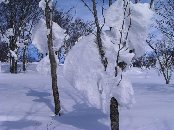 風のいたずら　2