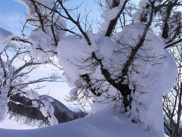 風のいたずら　3