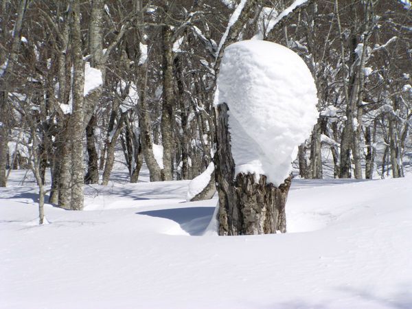 残雪時のバロメーター