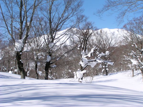 大門海平から　2