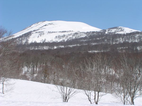 目的地に