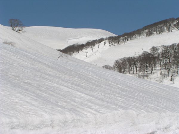 恵まれた姥ヶ岳