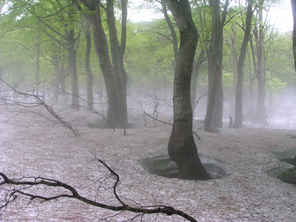 数人のカメラマン夢中
