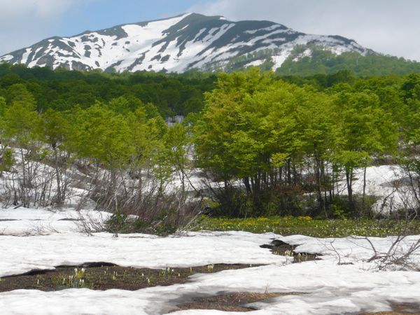 湯殿山を背景に　2