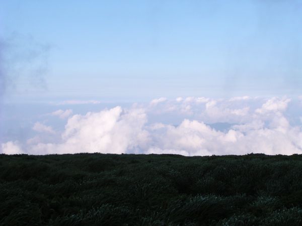 晴れて来ました